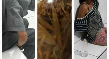 Polícia Militar prende suspeitos de tráfico com garrafa de cachaça curtida com folhas de maconha Polícia Militar prende suspeitos de tráfico com garrafa de cachaça curtida com folhas de maconha