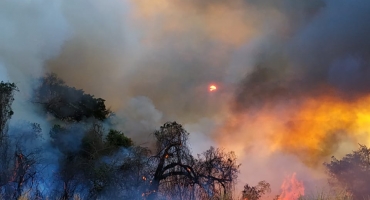 Incêndio atinge fazendas no município de Lagoa Formosa e aproximadamente 200 hectares de pastagens foram queimadas 