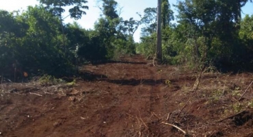 Área para o reflorestamento da Mata do Catingueiro  começa a ser preparada pela prefeitura de Patos de Minas