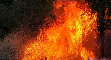 Secretaria de Meio Ambiente de Carmo do Paranaíba alerta sobre os riscos das queimadas