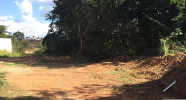 Prefeitura busca recursos para construção de avenida sanitária em Patos de Minas 