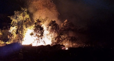 Mata do Catingueiro em Patos de Minas é atingida por terceiro incêndio em menos de uma semana