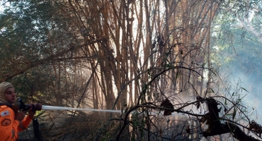 Queimada no Bairro Nossa Senhora das Graças em Patos de Minas ameaça atingir moradias e bombeiros evacuam a área