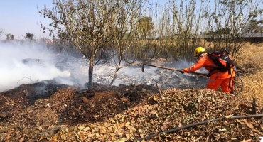 Incêndio consome aproximadamente 10 hectares de vegetação no Bairro Ipanema em Patos de Minas