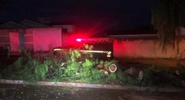 Corpo de Bombeiros de Patos de Minas registra queda de árvores devido a chuvas