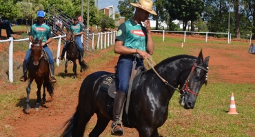 Festa do Feijão: 11ª Copa de Cavalo Mangalarga Marchador é realizada no Parque de Exposições 