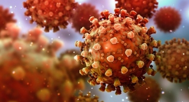 Conhecida como Éris, primeiro caso de nova variante do coronavírus é confirmado no Brasil
