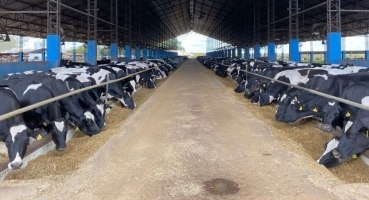 Sindicato Rural de Patos de Minas realiza reunião com produtores para discutir situação da cadeia leiteira no país 