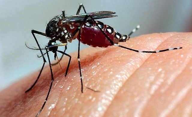 Patos de Minas registra mais de 2.500 casos notificados de dengue em apenas duas semanas 