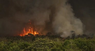 Incêndios podem ter afetado mais de 11 milhões de pessoas no Brasil