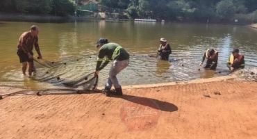 Patos de Minas - Começa a despesca nos lagos do Mocambo para posterior realização de desassoreamento dos locais Patos de Minas - Começa a despesca nos lagos do Mocambo para posterior realização de desassoreamento dos locais