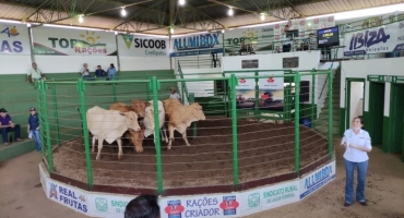 Sindicato dos Produtores Rurais de Lagoa Formosa realiza Leilão Misto nesta quinta-feira, 29 de maio Sindicato dos Produtores Rurais de Lagoa Formosa realiza Leilão Misto nesta quinta-feira, 29 de maio
