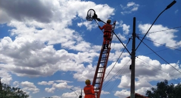 Corpo de Bombeiros salva ouriço que se refugiou no alto de um poste para fugir de cães; em Lagoa Formosa  Corpo de Bombeiros salva ouriço que se refugiou no alto de um poste para fugir de cães; em Lagoa Formosa