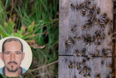 Homem de 42 anos morre em ataque de abelhas que deixou 18 vítimas; em Rio Paranaíba 