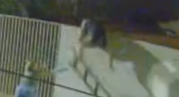 Homem sofre queda de mais de 3 metros de altura e é socorrido com traumatismo craniano, em Patos de Minas (veja vídeo)