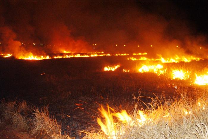 Com a aproximação do período de clima seco começa também a preocupação com as queimadas