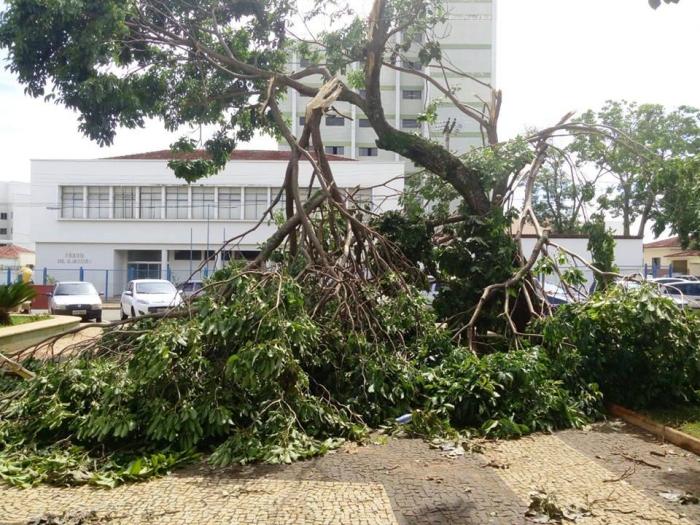 Vendaval e chuvas de granizo causam estragos no final de semana na cidade de Carmo do Paranaíba