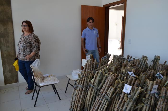 Cultura e melhoramento da genética da mandioca é discutida em evento realizado pela EMATER de Lagoa Formosa