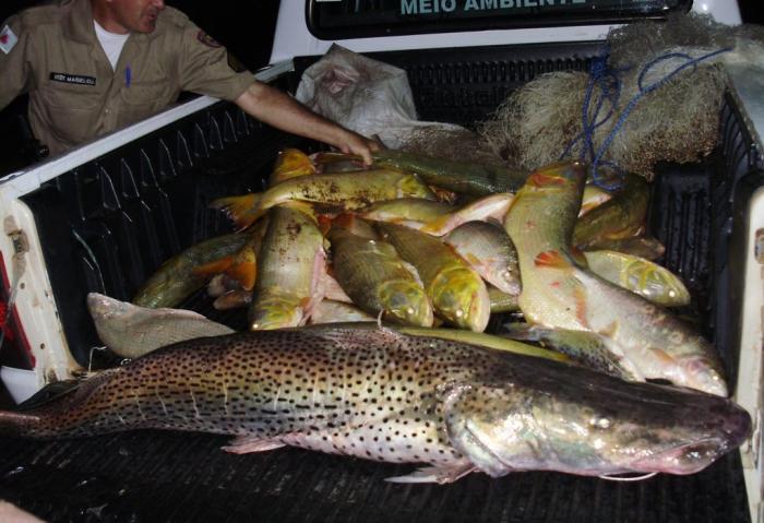 PM de Meio ambiente apreende mais de 300 kg de pescado em João Pinheiro