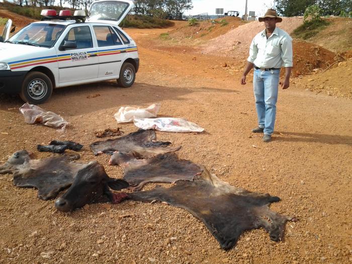 Vaca furtada vira churrasco e ainda rende R$600 aos infratores no Município de Lagoa Formosa