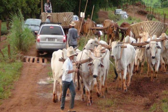 Carreiros e candeeiros já estão a caminho do Distrito de Monjolinho de Minas onde acontece o encontro de carros de bois