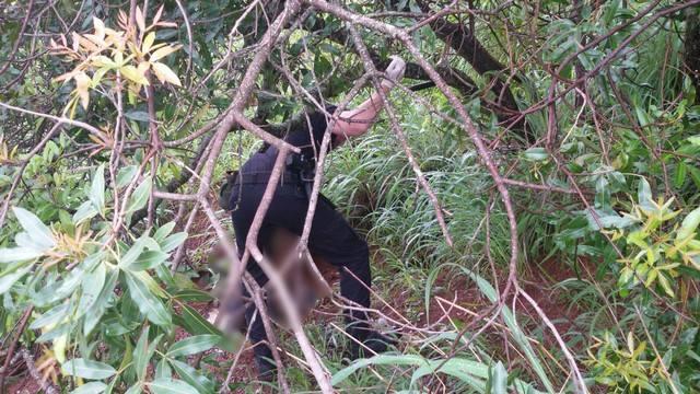 Corpo de Idoso pai de Policial Militar é encontrado em estado avançado de decomposição na zona rural de Presidente Olegário