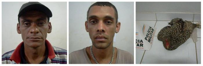 Ladrões de galinha são presos em Carmo do Paranaíba após cometer furto 