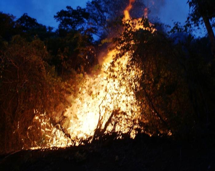  Focos de incêndio continuam destruindo a mata do Catingueiro na cidade de Patos de Minas