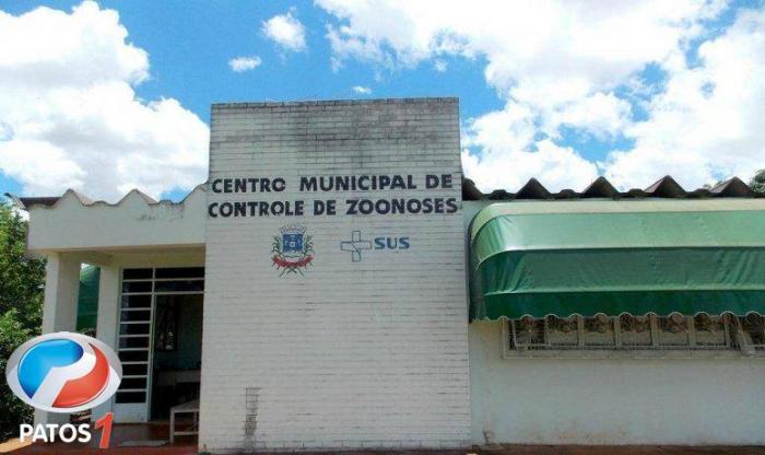 Centro de Controle de Zoonoses realiza mais de 200 castrações em apenas dois meses na cidade de Patos de Minas