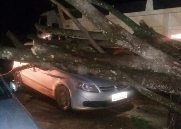 Temporal derruba arvores e danifica veículos em Campina Verde na zona rural de Lagoa Formosa