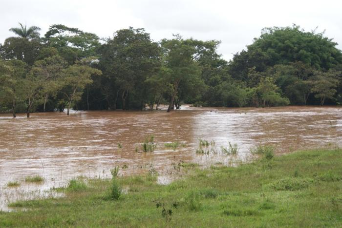  Córrego Babilônia em Lagoa Formosa transborda e águas atingem várias lavouras e pastagens do município