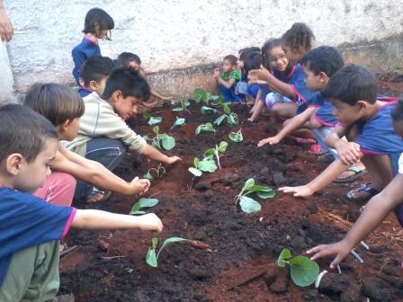 Alunos do Cristavo participam da plantação de uma horta coletiva na cidade de Patos de Minas 