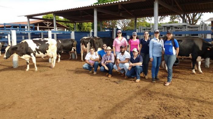 Alunos de Zootecnia do UNIPAM participam de aula prática sobre avaliação morfológica de vacas leiteiras