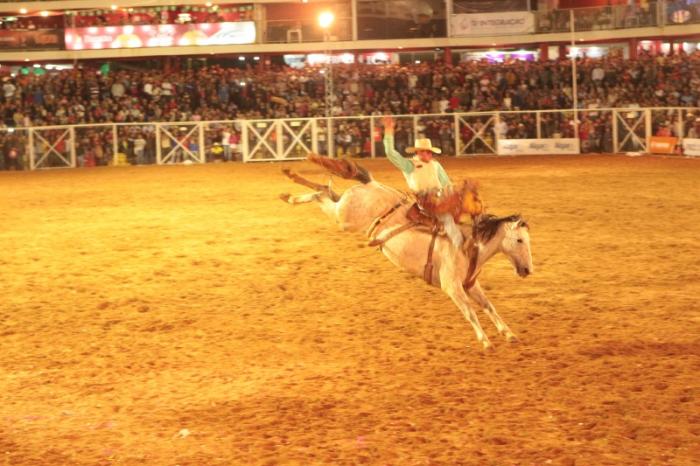 Fenamilho 2015 terminou neste Domingo em Patos de Minas com as finais do rodeio em touros e cavalos