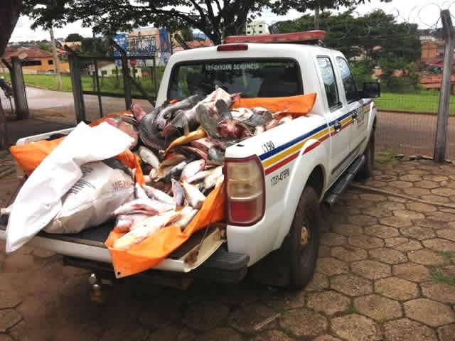 Polícia Militar Ambiental de Paracatu apreende aproximadamente 500 quilos de peixes 