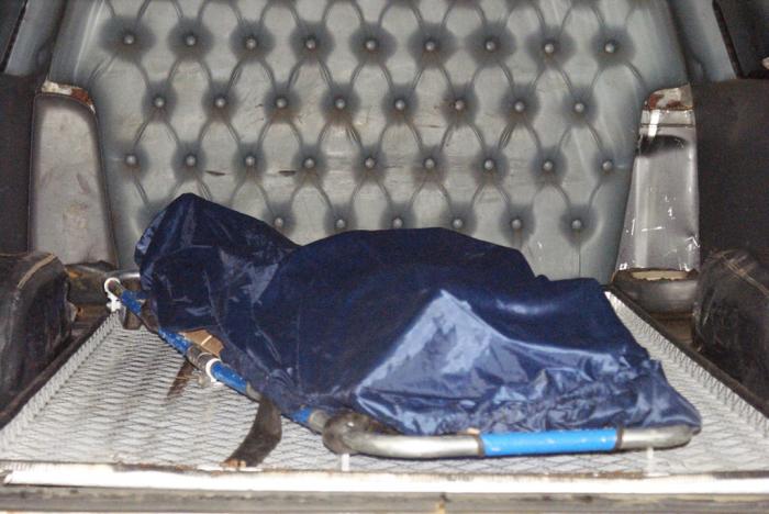Briga por causa de cachorro termina em morte de homem de 35 anos em Carmo do Paranaíba