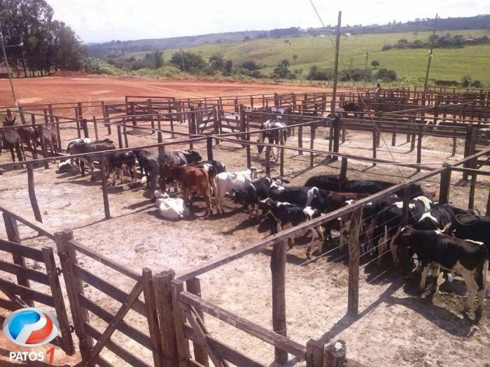 APAE de Lagoa Formosa divulga balanço dos trabalhos realizados durantes os primeiros meses do ano de 2015 e na Festa do Feijão