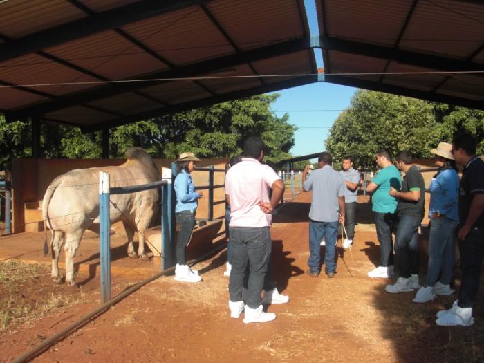 Alunos de Zootecnia do UNIPAM visitam a Central de Inseminação da Alta Genetics