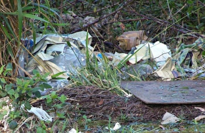 População de Patos de Minas é obrigada a conviver com problemas de lixos e entulhos jogados nas ruas da cidade