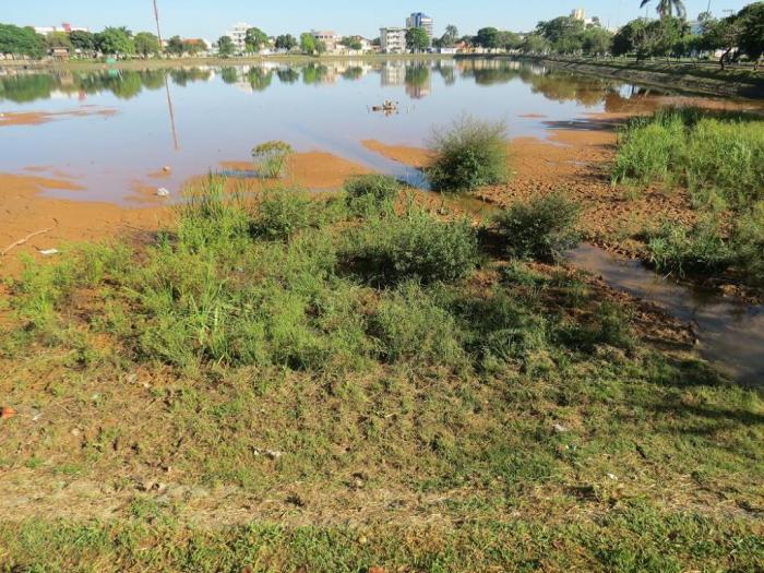 Leito da Lagoa Grande em Patos de Minas pede socorro e autoridades preferem cruzar os braços