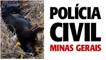 Polícia Civil de Rio Paranaíba abre Inquérito Policial sobre a matança de animais por envenenamento na cidade