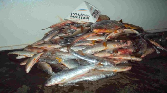 Polícia Militar Ambiental apreende 150 quilos de pescado próximo a Patrocínio nesta Segunda-Feira