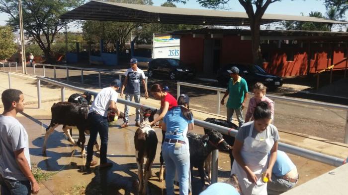 Alunos de Medicina Veterinária participam da Semana Coopatos na cidade de Patos de Minas