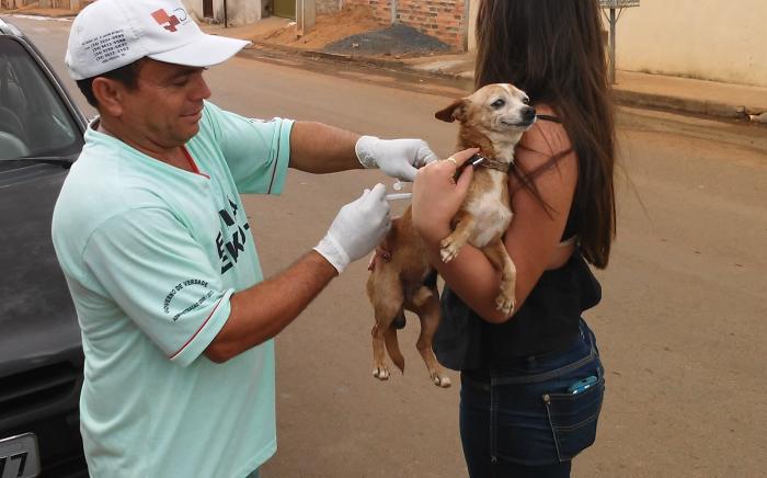 Campanha de vacinação anti-rábica do ano de 2016 em Lagoa Formosa acontece até o dia 12 julho