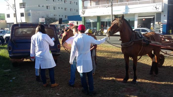 Projeto Amigo Carroceiro é realizado pelos alunos do curso de veterinária do UNIPAM na cidade de Patos de Minas