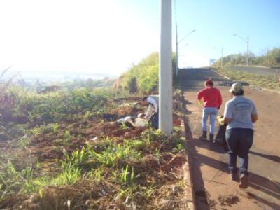 Programa Municipal de Combate à Dengue realiza mutirões em três bairros da cidade