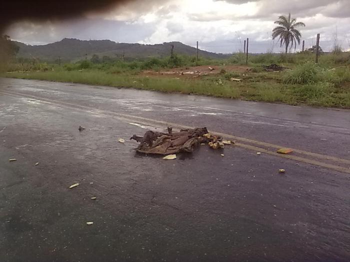 Depósito clandestino de ossos e restos de animais é retirado da rodovia que liga Patos de Minas a Areado