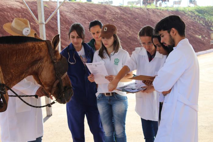 Curso de Medicina Veterinária do Unipam realiza II Dia de Campo do Projeto Amigo Carroceiro em Patos de Minas