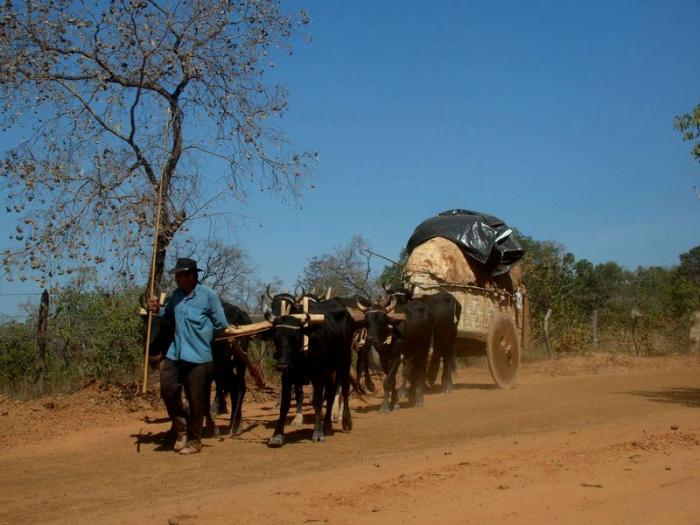 Carreiros de Presidente Olegário chegam ao Santuário em Andrequicé, após percorrerem mais de 50 quilômetros