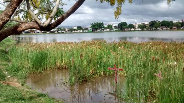 Protesto de ambientalistas que tentam salvar a Lagoa Grande em Patos de Minas volta a acontecer